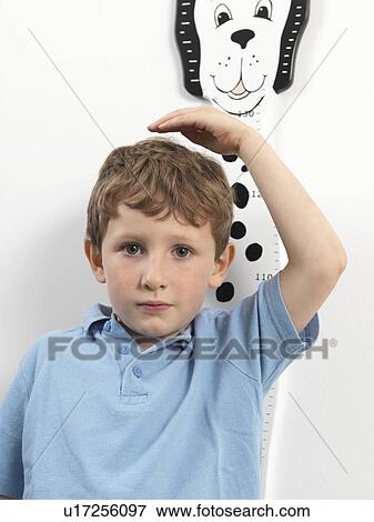 Height measurement View Large Photo Image Stock Photo - Height measurement. Fotosearch