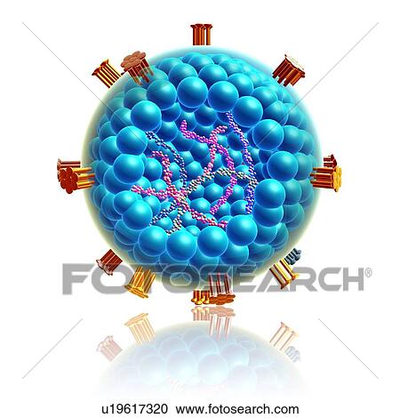 Stock Image - HIV particle, illustration. Fotosearch