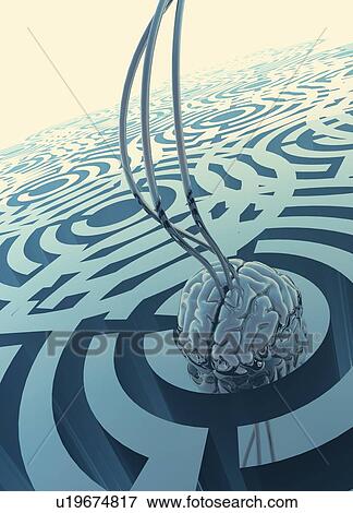 Stock Photo - Human brain in a maze, illustration. Fotosearch