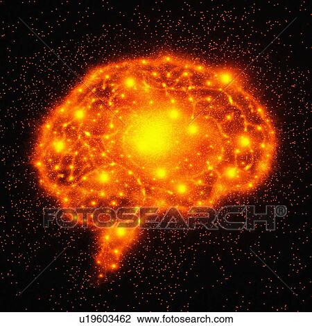 Human brain View Large Photo Image Stock Image - Human brain. Fotosearch