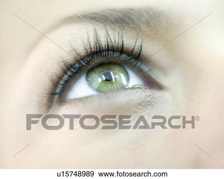 Human eye View Large Photo Image Stock Photo - Human eye. Fotosearch