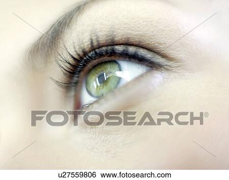 Human eye View Large Photo Image Stock Photograph - Human eye. Fotosearch