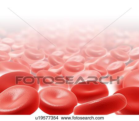 Picture - Human red blood cells, illustration. Fotosearch