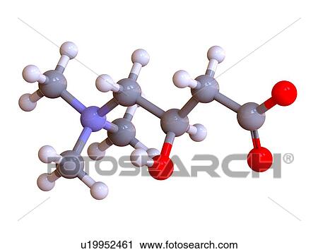 L-Carnitine food supplement molecule View Large Photo Image Stock Image - L-Carnitine food supplement molecule. Fotosearch