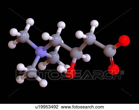 L-Carnitine food supplement molecule View Large Photo Image Stock Image - L-Carnitine food supplement molecule. Fotosearch