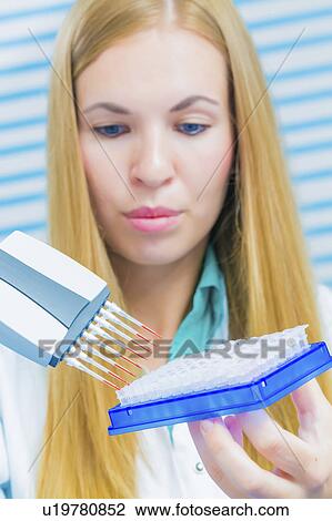 Lab assistant holding micro pipette View Large Photo Image Stock Image - Lab assistant holding micro pipette. Fotosearch