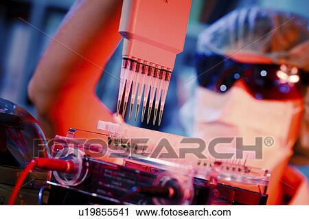 Lab assistant using multi pipette View Large Photo Image Stock Image - Lab assistant using multi pipette. Fotosearch