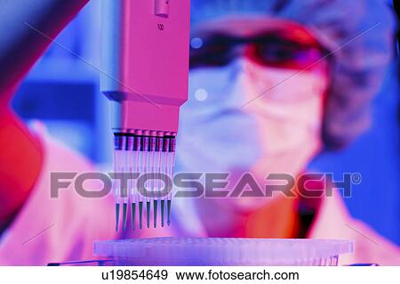 Lab assistant using multi pipette View Large Photo Image Stock Photo - Lab assistant using multi pipette. Fotosearch