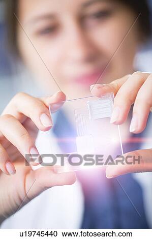 Lab technician holding a lab on a chip View Large Photo Image Stock Image - Lab technician holding a lab on a chip. Fotosearch