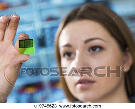 Stock Image - Lab technician holding a lab on a chip. Fotosearch