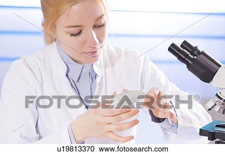 Lab technician holding a petri dish View Large Photo Image Stock Image - Lab technician holding a petri dish. Fotosearch