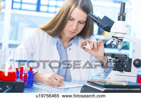 Lab technician holding food samples View Large Photo Image Stock Photography - Lab technician holding food samples. Fotosearch