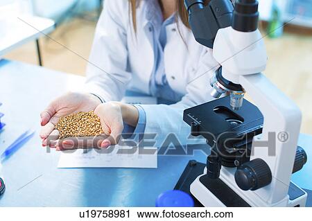 Stock Image - Lab technician holding legumes. Fotosearch