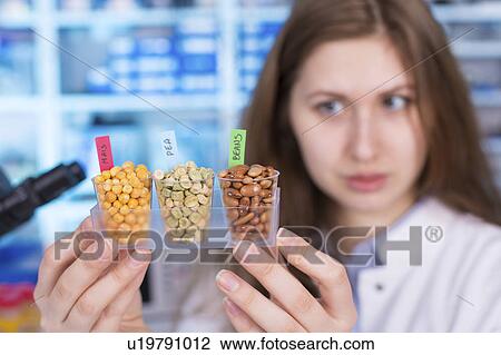 Stock Image - Lab technician holding legumes. Fotosearch