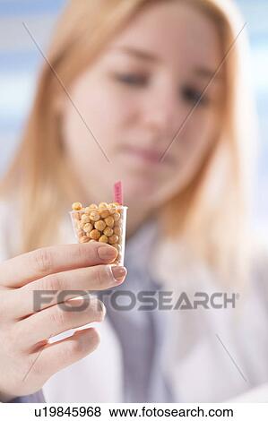 Stock Photo - Lab technician holding legumes. Fotosearch