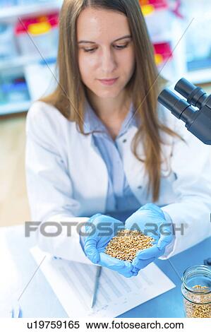 Lab technician holding legumes View Large Photo Image Stock Photography - Lab technician holding legumes. Fotosearch