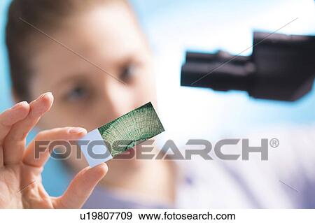 Stock Photo - Lab technician holding microscope slide. Fotosearch