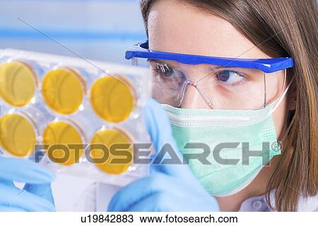 Stock Image - Lab technician holding petri dishes. Fotosearch
