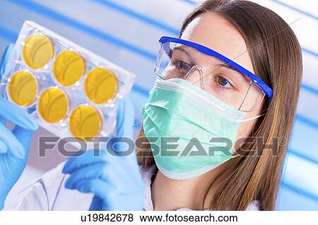 Stock Photo - Lab technician holding petri dishes. Fotosearch