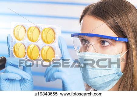 Stock Photography - Lab technician holding petri dishes. Fotosearch