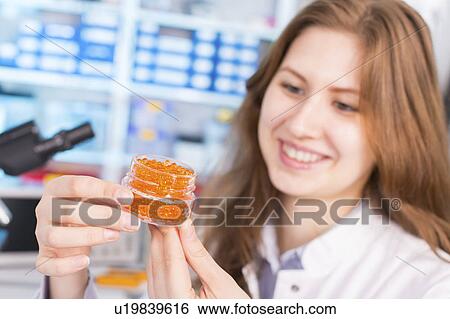 Lab technician testing caviar in lab View Large Photo Image Stock Photograph - Lab technician testing caviar in lab. Fotosearch