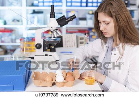 Stock Photo - Lab technician testing eggs in lab. Fotosearch
