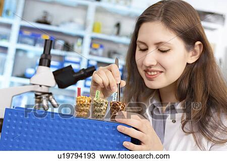 Lab technician testing legumes in lab View Large Photo Image Stock Image - Lab technician testing legumes in lab. Fotosearch