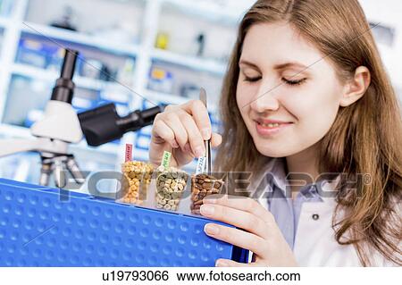 Stock Photograph - Lab technician testing legumes in lab. Fotosearch
