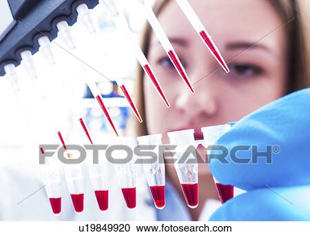 Lab technician using micro pipette View Large Photo Image Stock Image - Lab technician using micro pipette. Fotosearch