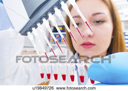 Lab technician using micro pipette View Large Photo Image Stock Photograph - Lab technician using micro pipette. Fotosearch