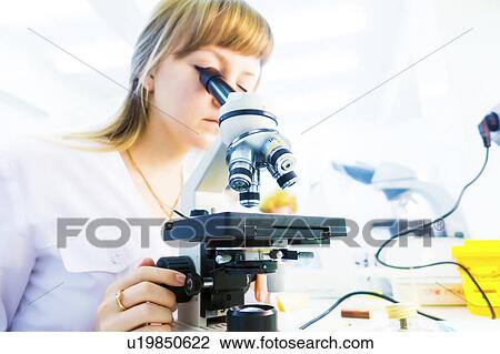 Lab technician using microscope View Large Photo Image Stock Image - Lab technician using microscope. Fotosearch
