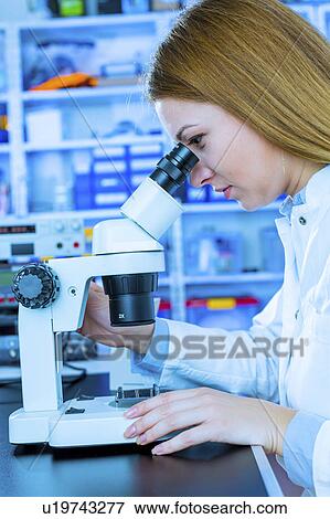 Lab technician using microscope View Large Photo Image Stock Photo - Lab technician using microscope. Fotosearch