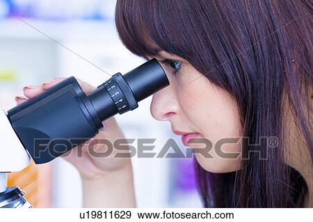 Lab technician using microscope View Large Photo Image Stock Photo - Lab technician using microscope. Fotosearch
