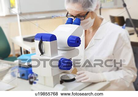 Lab technician using microscope View Large Photo Image Stock Photo - Lab technician using microscope. Fotosearch
