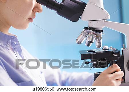 Lab technician using microscope View Large Photo Image Stock Photograph - Lab technician using microscope. Fotosearch
