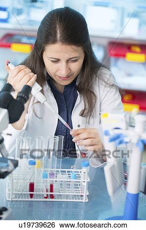 Lab technician using pipette in lab View Large Photo Image Stock Photograph - Lab technician using pipette in lab. Fotosearch