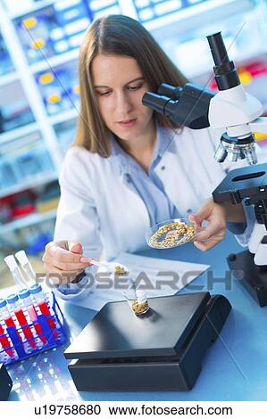 Lab technician weighing food samples View Large Photo Image Stock Image - Lab technician weighing food samples. Fotosearch