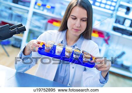 Stock Photography - Lab technician with food samples. Fotosearch