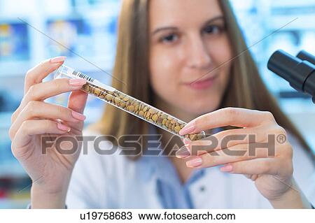 Lab technician with legumes View Large Photo Image Stock Image - Lab technician with legumes. Fotosearch