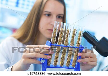Stock Photograph - Lab technician with legumes. Fotosearch