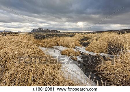 Landscape view, Arskogar, Iceland View Large Photo Image Stock Image - Landscape view, Arskogar, Iceland. Fotosearch