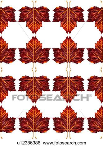 Stock Photograph - Leaves. Fotosearch