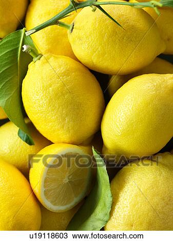 Lemons, full frame, close-up View Large Photo Image Stock Image - Lemons, full frame, close-up. Fotosearch