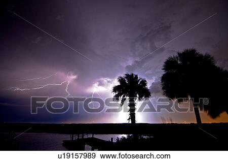 Stock Photo - Lightning illuminates a purple sky, palm trees and the water at the St. Johns River west of Cocoa, Florida, USA. Fotosearch