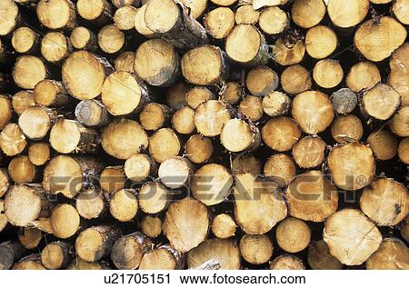 Stock Image - Logs. Fotosearch