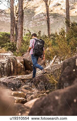 Male hiker hiking down forest rock formation, Deer Park, Cape Town, South Africa View Large Photo Image Picture - Male hiker hiking down forest rock formation, Deer Park, Cape Town, South Africa. Fotosearch