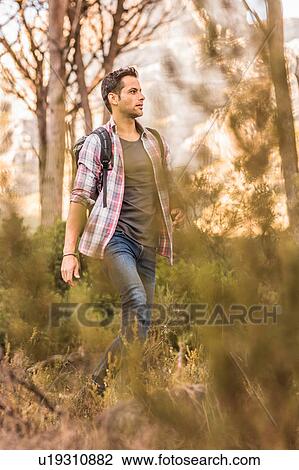 Male hiker hiking through forest, Deer Park, Cape Town, South Africa View Large Photo Image Stock Image - Male hiker hiking through forest, Deer Park, Cape Town, South Africa. Fotosearch