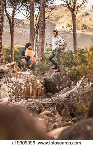 Stock Photograph - Male hikers looking at map on forest rock formation, Deer Park, Cape Town, South Africa. Fotosearch