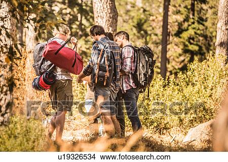 Male hikers reading map in forest, Deer Park, Cape Town, South Africa View Large Photo Image Picture - Male hikers reading map in forest, Deer Park, Cape Town, South Africa. Fotosearch