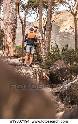 Male hikers reading map on forest rock formation, Deer Park, Cape Town, South Africa View Large Photo Image Picture - Male hikers reading map on forest rock formation, Deer Park, Cape Town, South Africa. Fotosearch